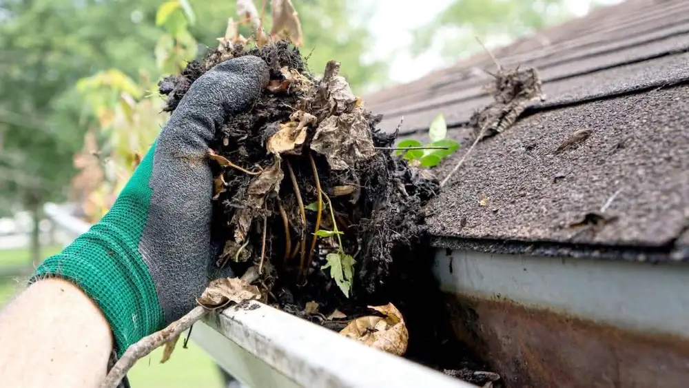 High access gutter and exterior cleaning work