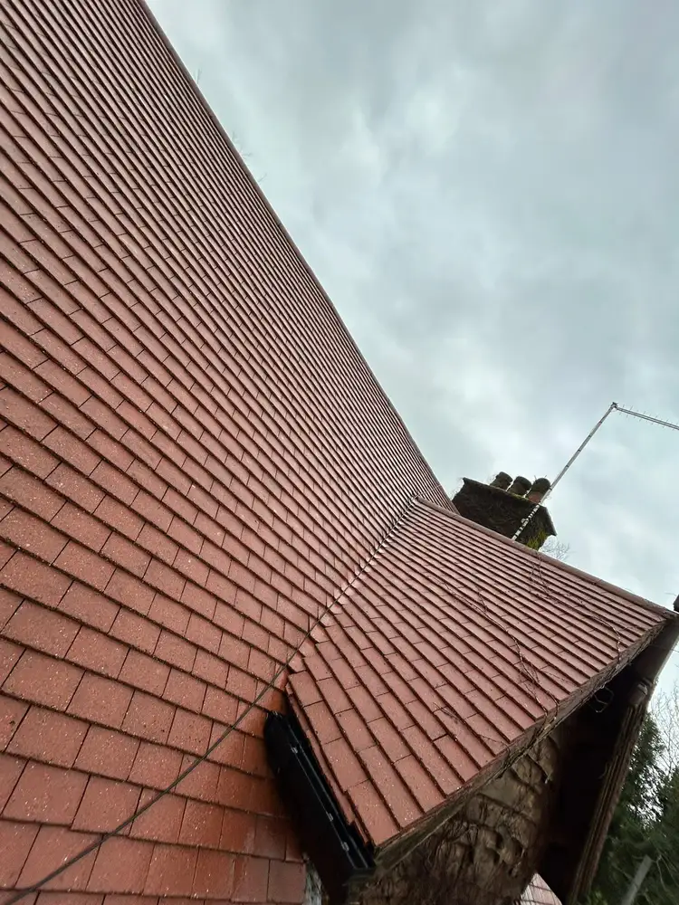Red tile roof cleaning