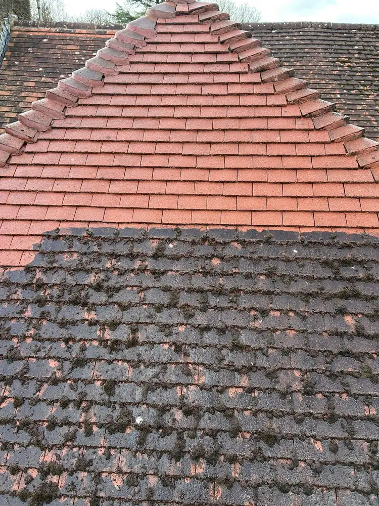 Roof tile cleaning before and after